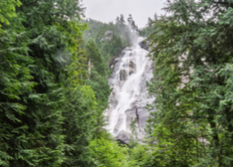 Shannon Falls